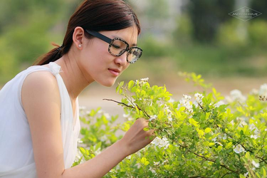 应用主界面展示